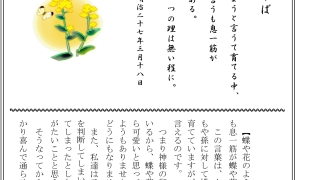 Thumbnail of post image 106