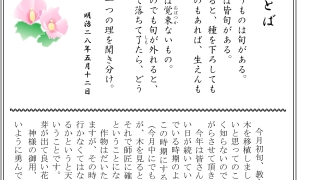 Thumbnail of post image 044