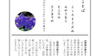 Thumbnail of post image 038