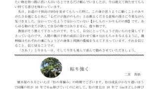 Thumbnail of post image 190