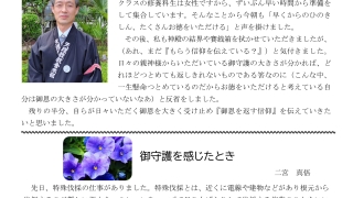 Thumbnail of post image 120